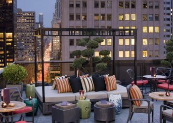 rooftop bar new york