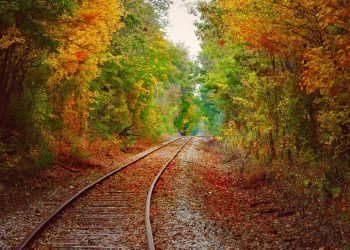 Here’s When Fall Foliage Colors Are Predicted to Peak in Your State