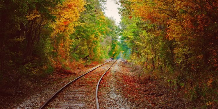 Here’s When Fall Foliage Colors Are Predicted to Peak in Your State