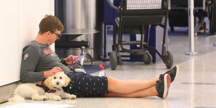 New Rules for Service Animals on Planes Are (Finally) Taking Shape