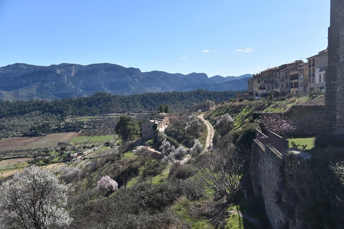 Horta de Sant Joan