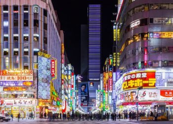 The 7 Best Guided Tours to Take in Tokyo