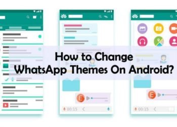 How to Change Themes on WhatsApp?