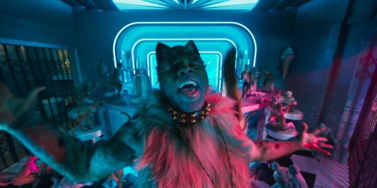 Cats is what you’d see if your third eye suddenly opened