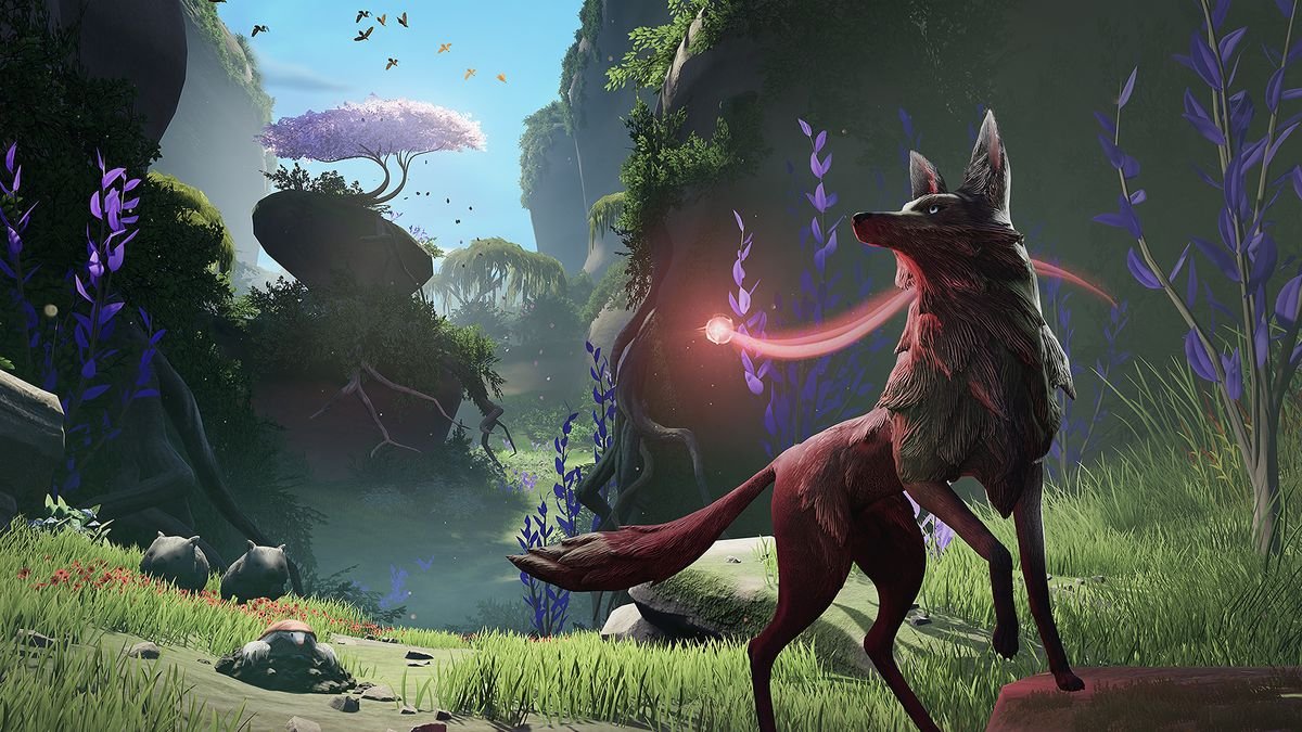a dark gray wolf stands in a grassy valley with a red ball of light floating behind it in Lost Ember