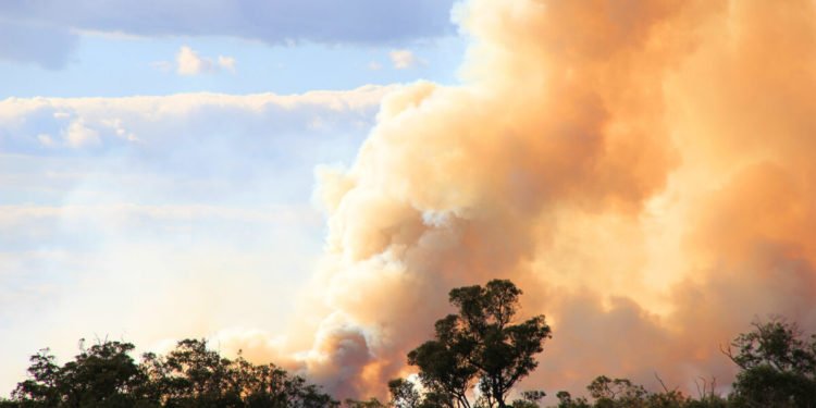What Travelers Need to Know about the Australia Fires (and How to Help)