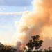 What Travelers Need to Know about the Australia Fires (and How to Help)