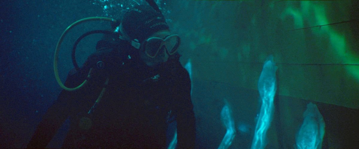 A character swimming underwater in a diving suit examines several large, glowing remora-like suckers attacked to the hull of her ship in Sea Fever.