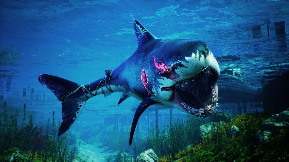 a shark with its mouth open, showing its teeth, in Maneater