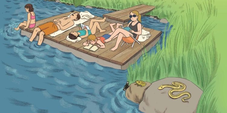 Why ‘Stepping Stones’ Creator Lucy Knisley Moved Into Fiction