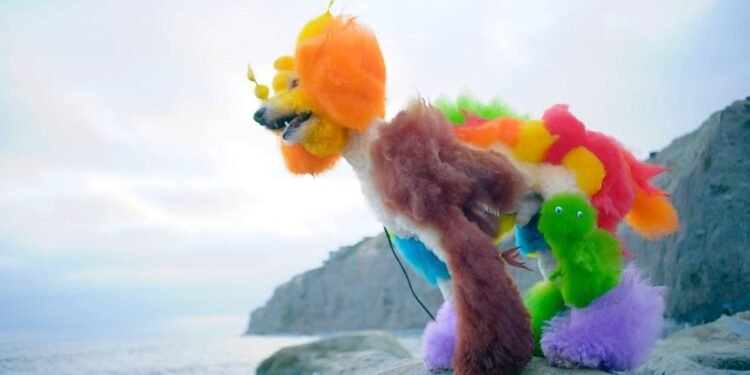 The dog-grooming doc Well Groomed is as fluffy and wholesome as movies get