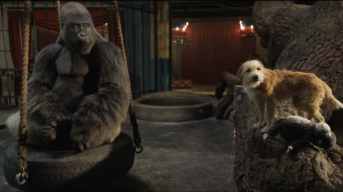 ivan the gorilla and bob the scrappy dog 