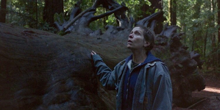 Nomadland is about the breathtaking journey, not the destination