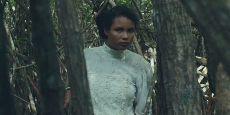 The excellent Netflix fantasy Tragic Jungle is a slow journey into horror