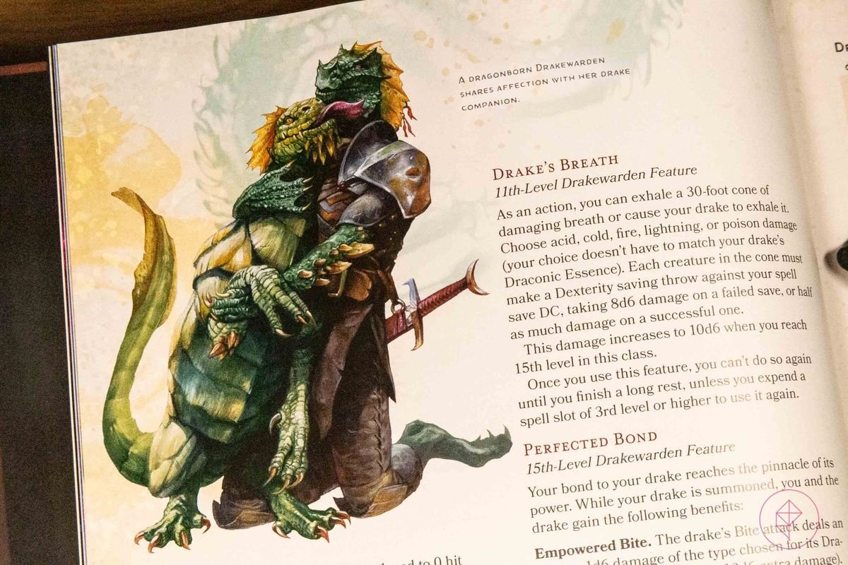 An image of a drakewarden subclass with its pet drake.