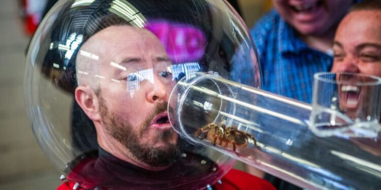 Jackass Forever defies age, physics, and the limits of men’s genitals