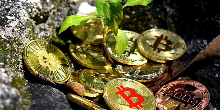 The Rise in Turnkey Mining Hosting Services