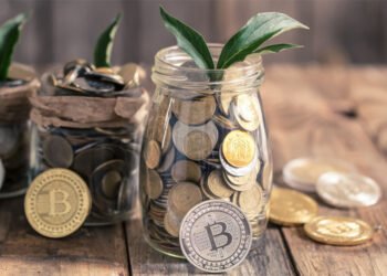 What Are Stablecoins? A Brief Guide