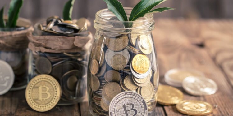 What Are Stablecoins? A Brief Guide