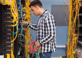 Is Renting a Server(s) an Alternative to Buying, Problems and Prospects