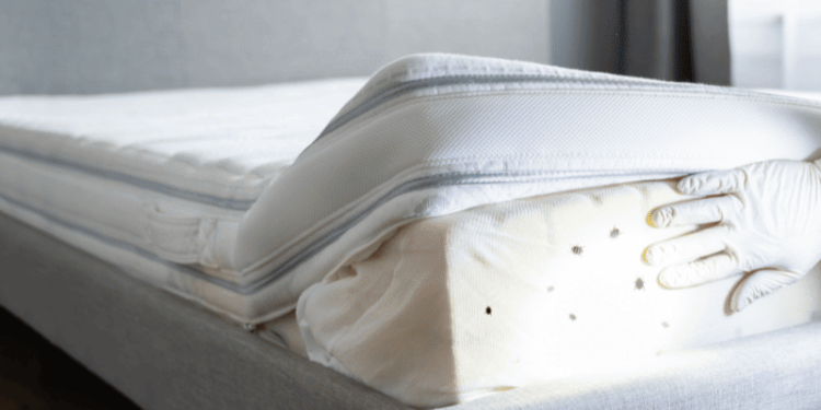 America’s 50 Worst Cities for Bedbugs