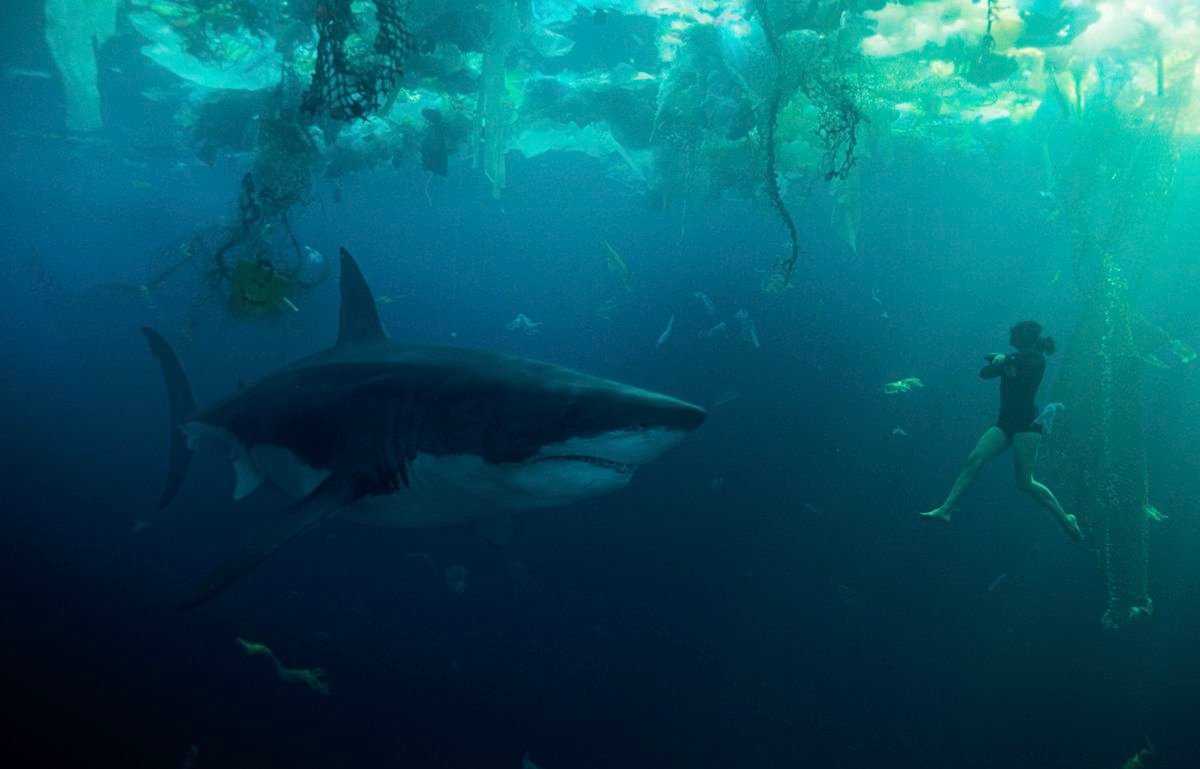 Sophia (Bérénice Bejo), a tiny figure in a black diving suit, hangs below the surface of a trash-filled stretch of ocean as an immense shark approaches her head-on in Xavier Gens’ Netflix shark thriller Under Paris