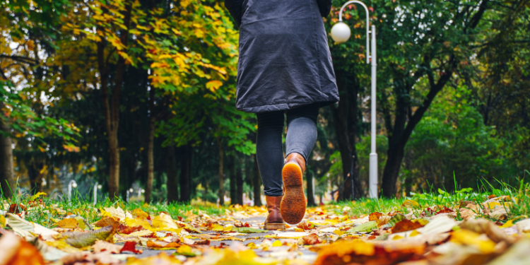 The 10 Best Light Fall Jackets for Travelers