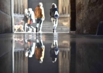 What’s On: Events, Exhibitions and Things to Do