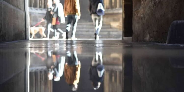 What’s On: Events, Exhibitions and Things to Do